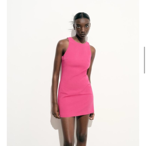 Zara Dresses Pink Dress Poshmark Garden Pot Holders Wall Trailing Watermelon Peperomia